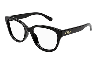 Chloé CH0243O 005