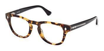 Web Eyewear WE5384 052
