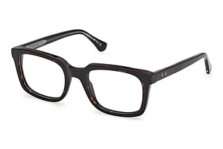 Web Eyewear WE5445 056 Havanna/Einfarbig