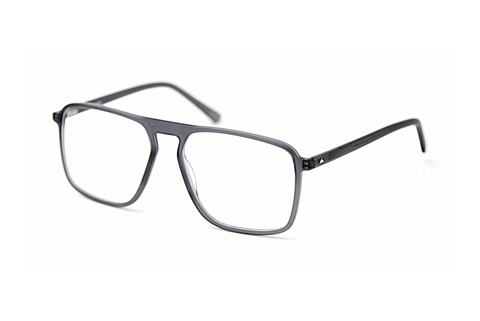 デザイナーズ眼鏡 Sur Classics Pepin (12518 grey)