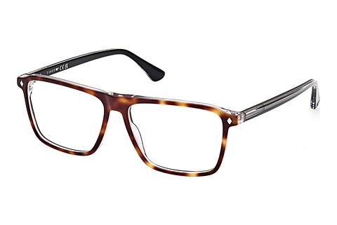 デザイナーズ眼鏡 Web Eyewear WE5442 056