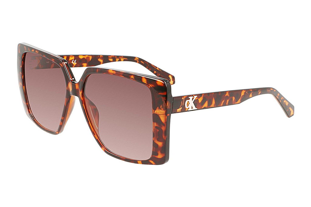 Calvin Klein   CKJ22607S 240 BROWN TORTOISE