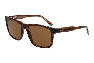 Lacoste L6025S 219 BROWN HAVANA BROWN