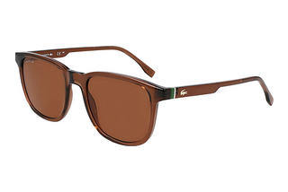 Lacoste L6029S 210 BROWN TRANSPARENT BROWN