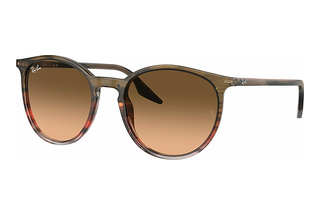 Ray-Ban RB2204 13953B