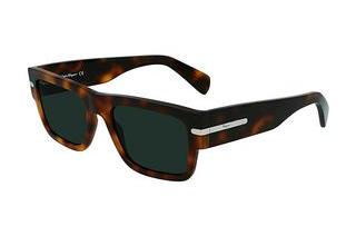 Salvatore Ferragamo SF1030S 214