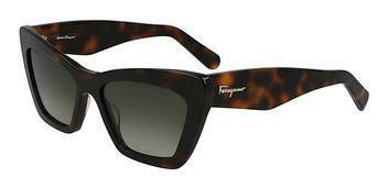 Salvatore Ferragamo SF929S 219