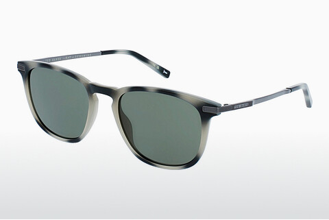 サングラス Ted Baker 1633 900