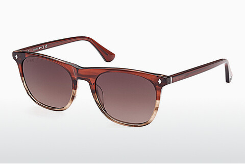 サングラス Web Eyewear WE0339 71F