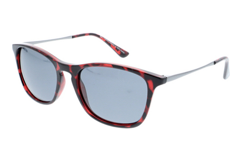 サングラス HIS Eyewear HPS90104 4